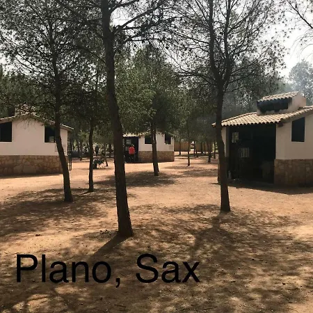 Casa San Blas * サックス